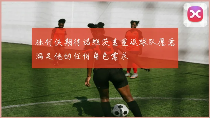 独行侠期待诺维茨基重返球队愿意满足他的任何角色需求