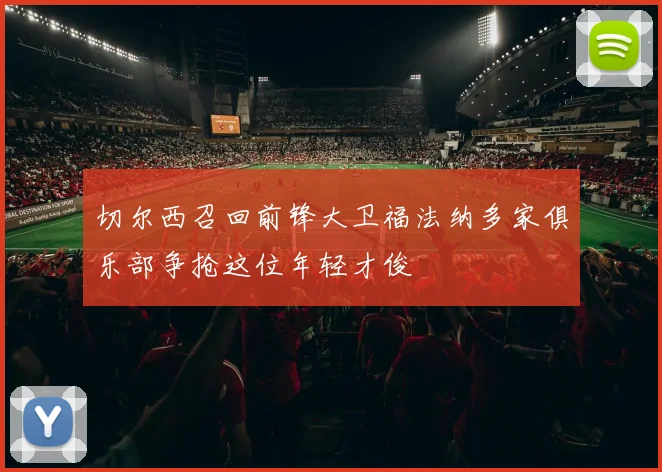 切尔西召回前锋大卫福法纳多家俱乐部争抢这位年轻才俊