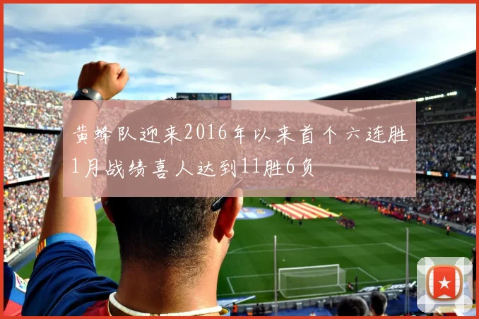 黄蜂队迎来2016年以来首个六连胜1月战绩喜人达到11胜6负