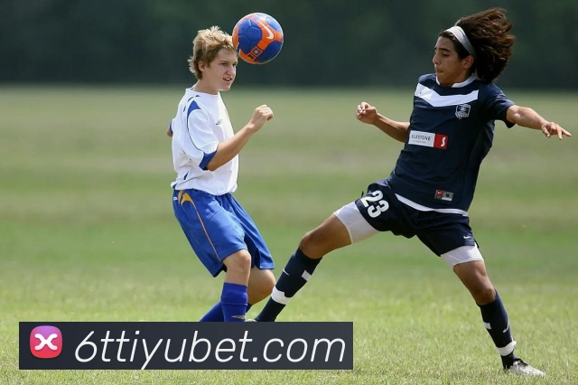 6T体育APP 封面图